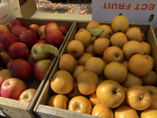 Wow! Liberty Orchards has some of the best apples I've ever tasted! This T gold is their own variety! They made it in their orchard!