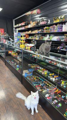 Pipes, papers, wraps, smoking accessories, cats