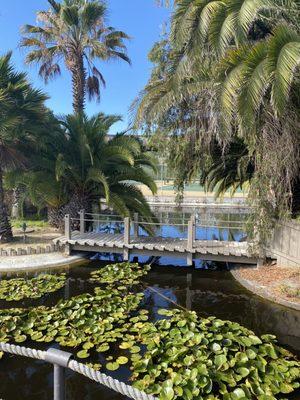 Beautiful pond and park area inside the Condos!