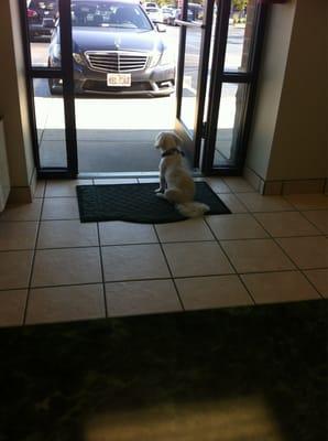 Our former employee, I told him "Oreo, there's nothing in life that comes for free, get to work!" Best greeter.