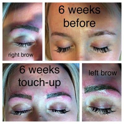 6 week touch up brows