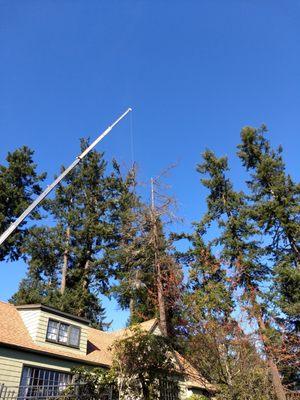 Leif's Tree & Crane Service