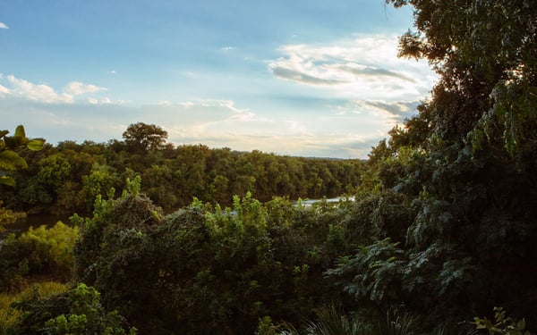 View from our back patio lounge!