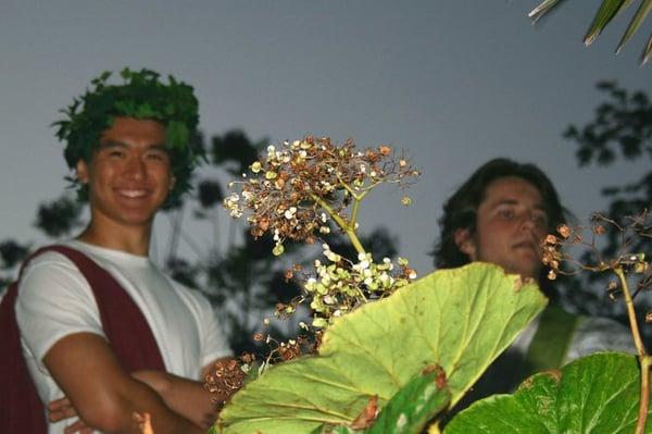 Chen Tang and Chaille Stovall in the staged reading of Midsummer 2008 at the Fairchild Tropical Botanic Gardens