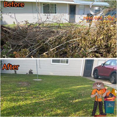 Yard waste cleanup !