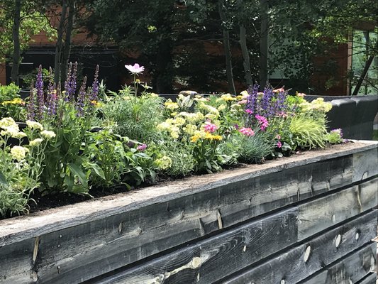 Newly planted flower box