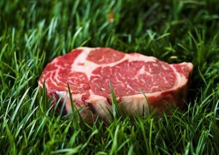 Grass fed steak can indeed be well marbled and tender. It takes close to 3 years to get the marbling and richness of flavor right.