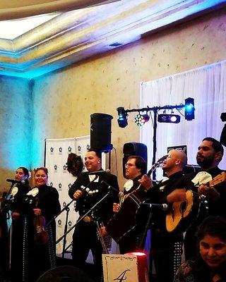 Live Mariachi