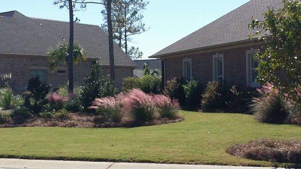 Beautiful island with shrubs and grasses