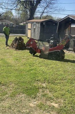 Them about to grind the stump