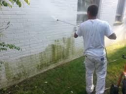 Washing the mildew off of a house... it's white under all of that!