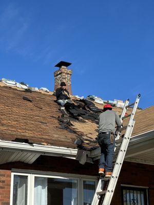 Shingle roof tear off