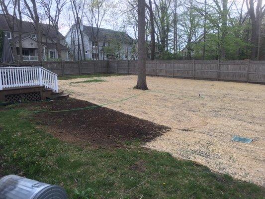 Installed storm water pit and seeded entire back yard.