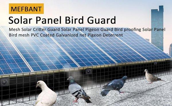 Pigeonproofsolar