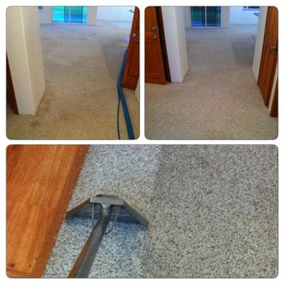 These carpets were very stained, not taken care of, and they thought the carpets would surely have to be replaced...