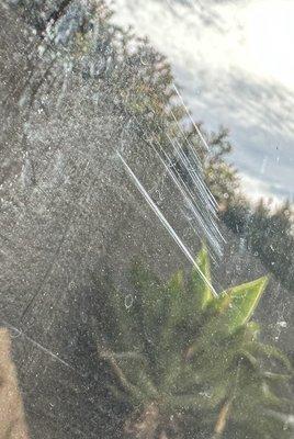 Scratches on the glass - an 8' high glass door