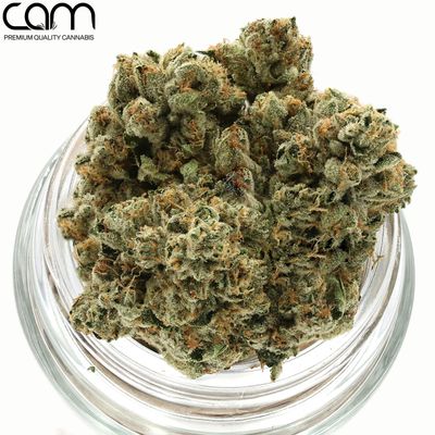 CAM | Brain OG - Indoor