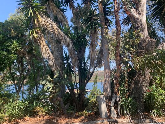 Otay Lakes County Park