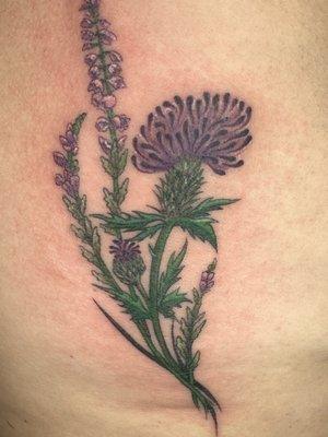 Scottish heather and thistle