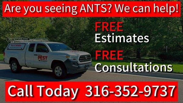 Ant pest control in Wichita!