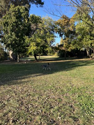 Shurtleff Park