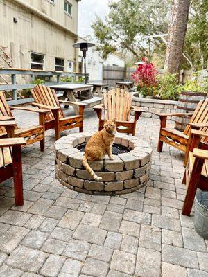 Outdoor patio with fire pit