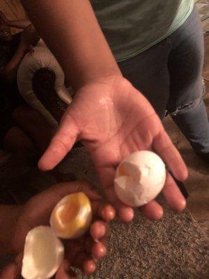 My kids raw eggs