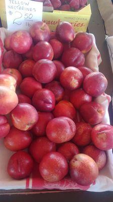 Nectarines