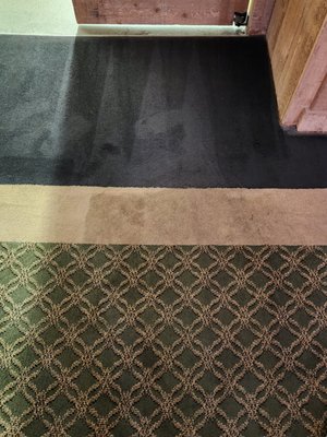 Progress photo carpet cleaning, coming out of the kitchen area of a banquet hall.