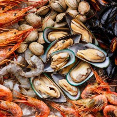 Premium shellfish in Philadelphia - top quality seafood at wholesale prices.