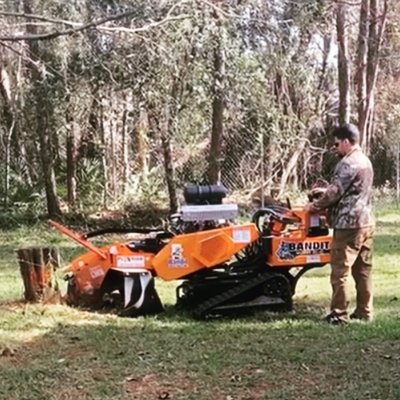 Tree Cutting/ Stump Grinding