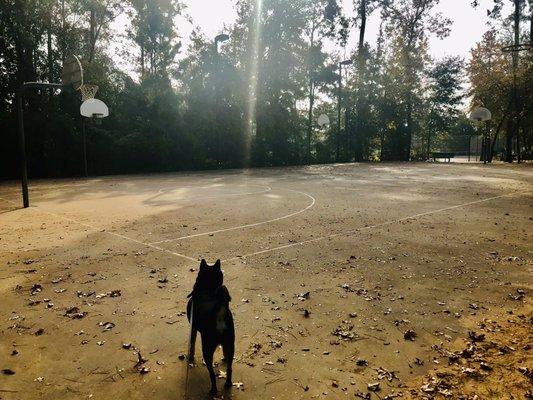 Basketball courts (Nov 2021)