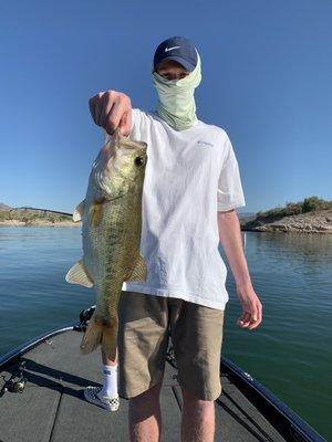 Large mouth bass