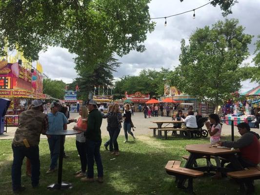 Glenn County Fair