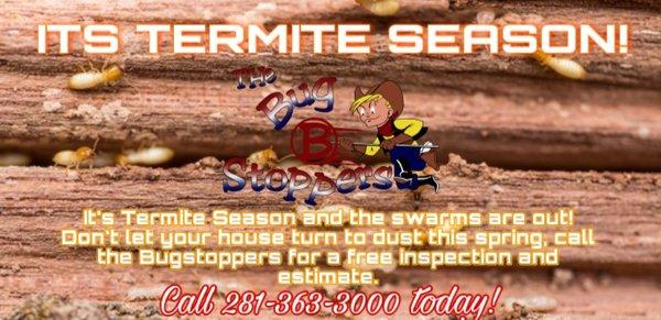 Think you have Termites? Call us for a Free Inspection and bid for treatement at 281-363-3000!