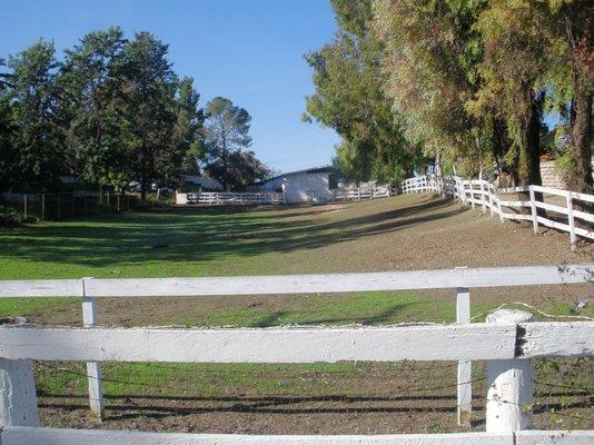 Retirement Horse  Boarding Chino Hills, Ca