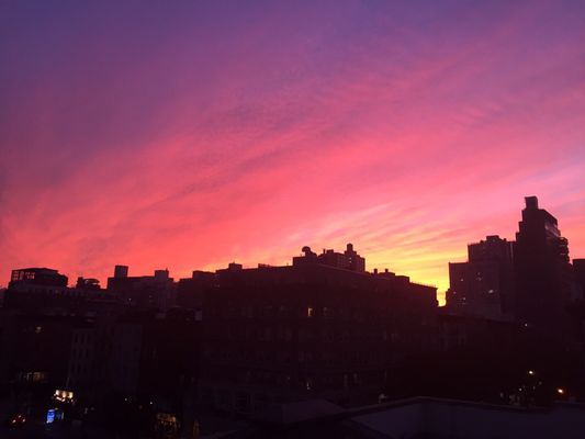 Roof top views