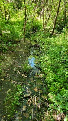 A creek with minimal water during dry season