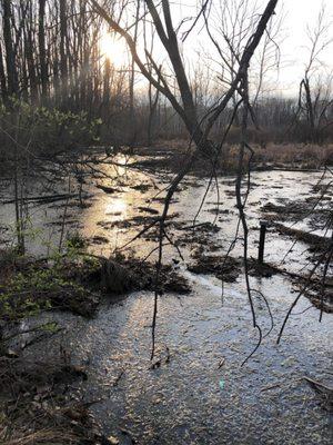 View from outer trail.