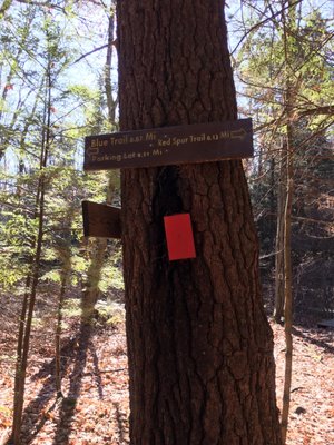 Trail markers