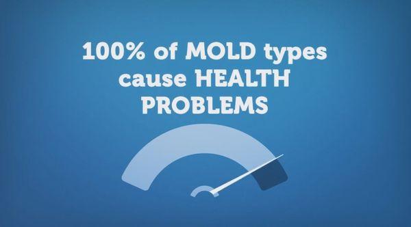 Even "non-toxic" mold growth in the right concentrations can cause health problems