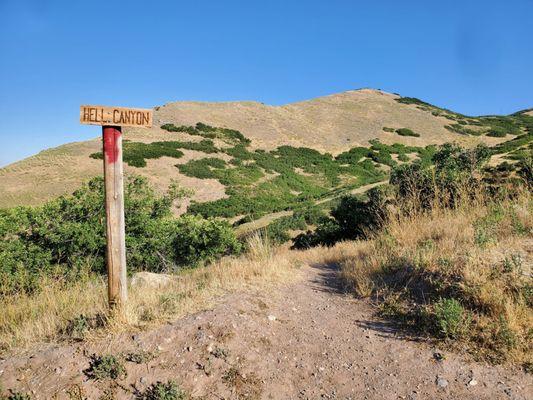 Hell Canyon between NSL and Ensign Peak. Take water!