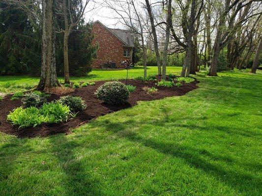 Superior Lawn and Landscape