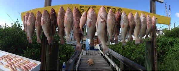 Reel Action Charters