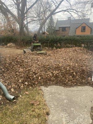 Leaf removal