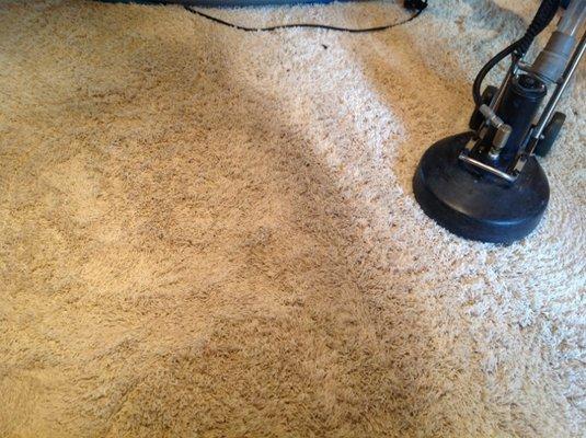 Carpet Cleaning