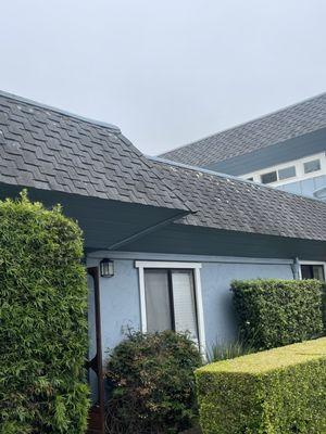 This commercial property condominium complex appears to have south facing moss growing on the roofing material which can grow into fungus...