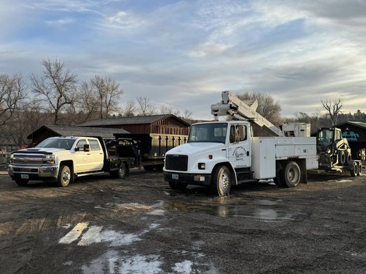 Beaver Creek Tree Service