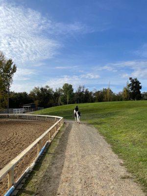 Brookside Equestrian Park (CALIFORNIA, USA)