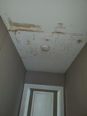 Before she rock repair on ceiling